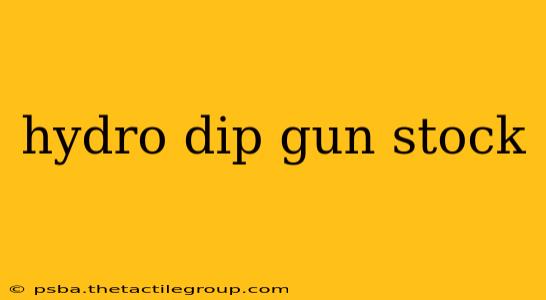 hydro dip gun stock