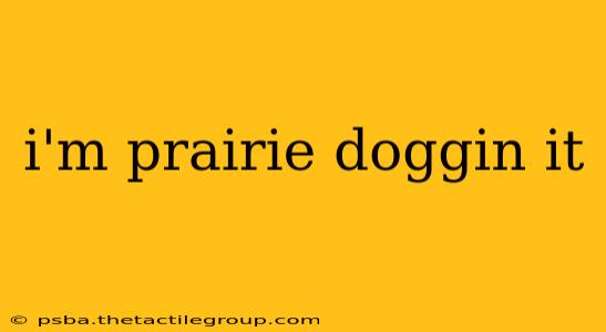 i'm prairie doggin it