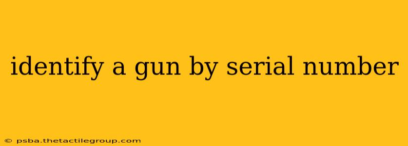 identify a gun by serial number