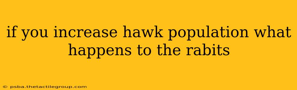 if you increase hawk population what happens to the rabits