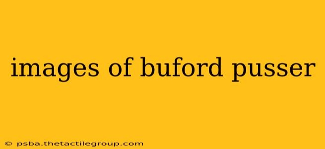 images of buford pusser