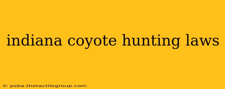 indiana coyote hunting laws