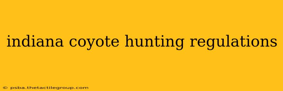 indiana coyote hunting regulations