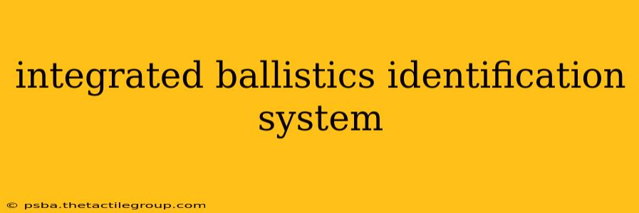 integrated ballistics identification system