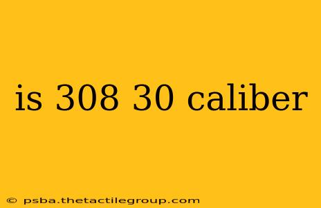 is 308 30 caliber