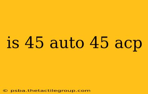 is 45 auto 45 acp