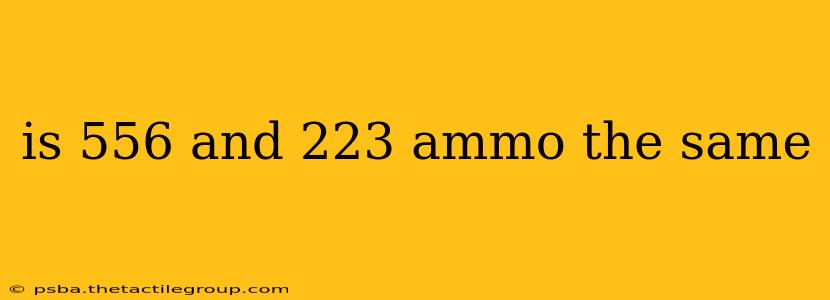 is 556 and 223 ammo the same