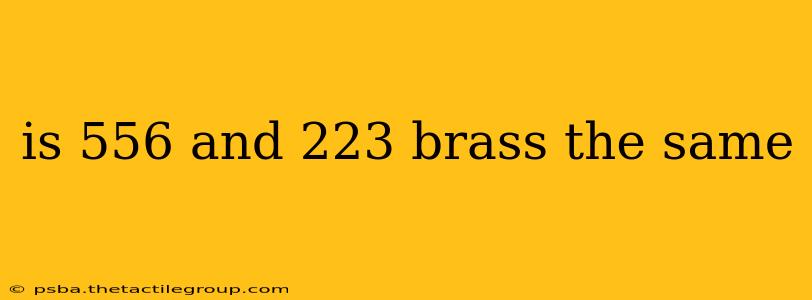 is 556 and 223 brass the same