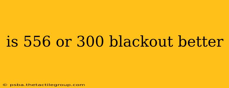 is 556 or 300 blackout better