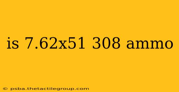 is 7.62x51 308 ammo