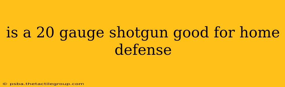 is a 20 gauge shotgun good for home defense