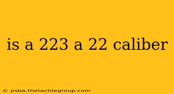 is a 223 a 22 caliber