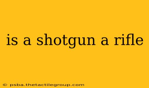 is a shotgun a rifle