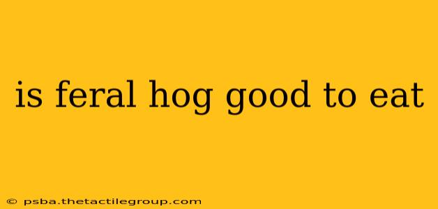 is feral hog good to eat