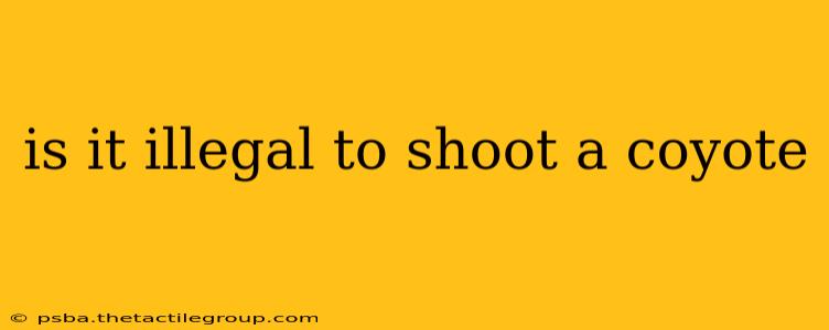 is it illegal to shoot a coyote