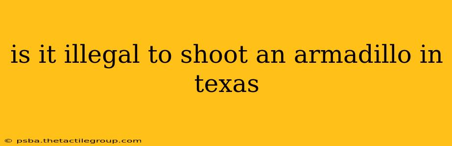 is it illegal to shoot an armadillo in texas