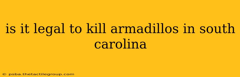 is it legal to kill armadillos in south carolina