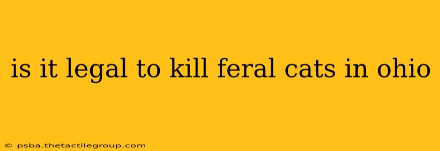 is it legal to kill feral cats in ohio