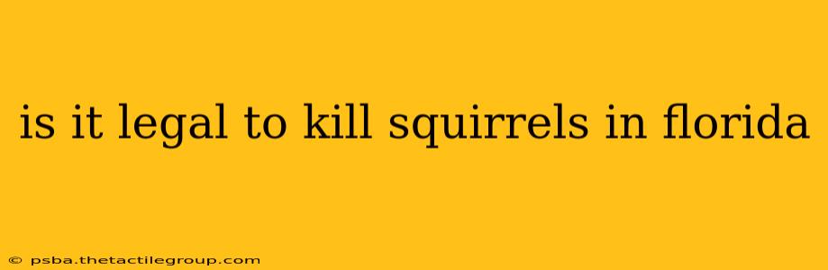 is it legal to kill squirrels in florida