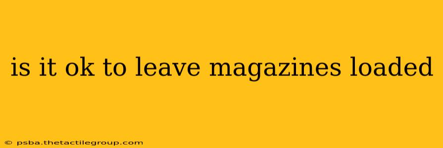 is it ok to leave magazines loaded