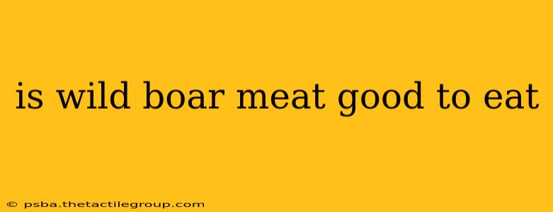 is wild boar meat good to eat