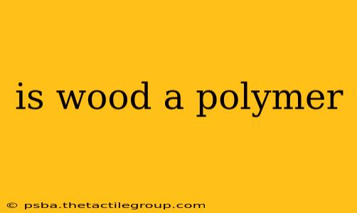 is wood a polymer