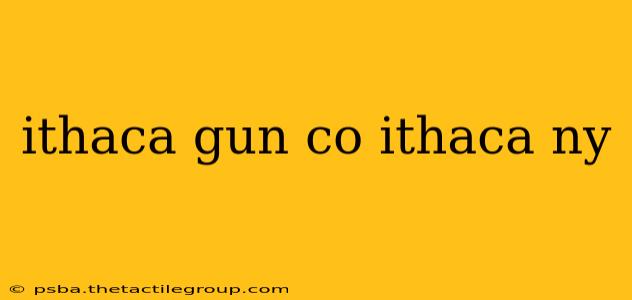 ithaca gun co ithaca ny