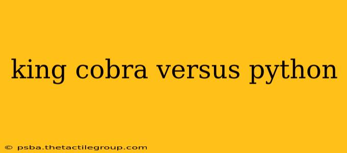 king cobra versus python