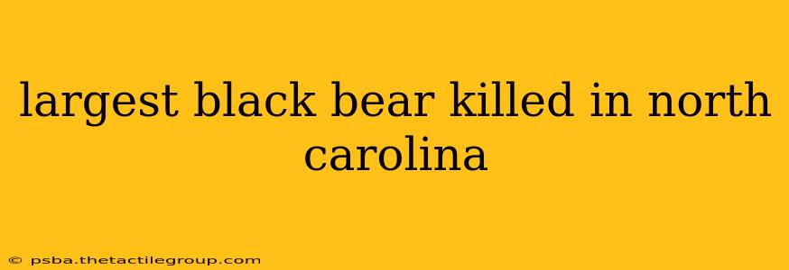 largest black bear killed in north carolina