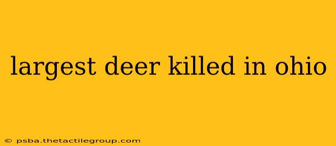 largest deer killed in ohio