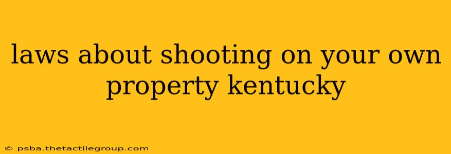 laws about shooting on your own property kentucky