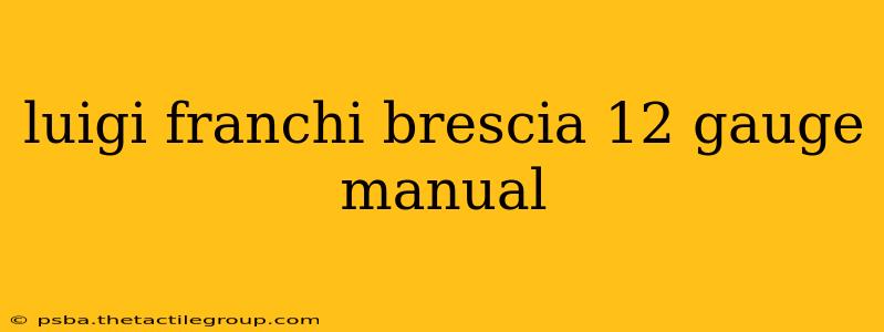 luigi franchi brescia 12 gauge manual