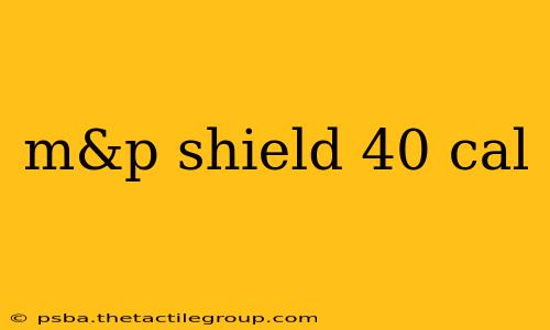 m&p shield 40 cal