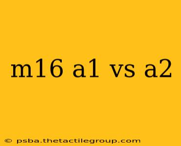 m16 a1 vs a2