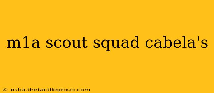 m1a scout squad cabela's