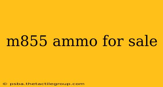 m855 ammo for sale