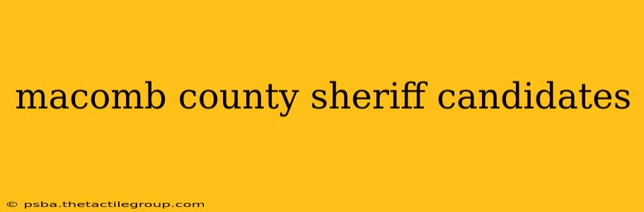 macomb county sheriff candidates