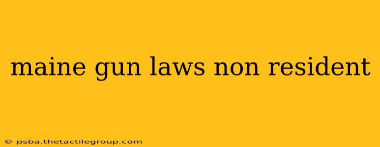 maine gun laws non resident