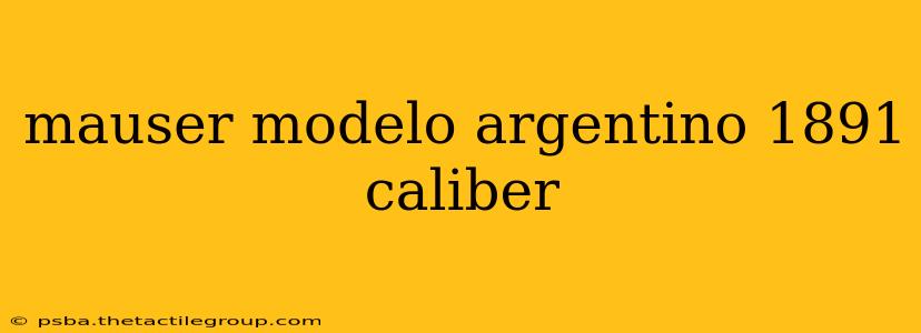 mauser modelo argentino 1891 caliber