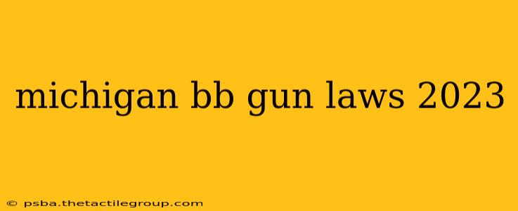 michigan bb gun laws 2023