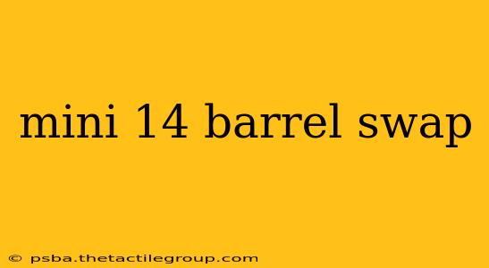 mini 14 barrel swap
