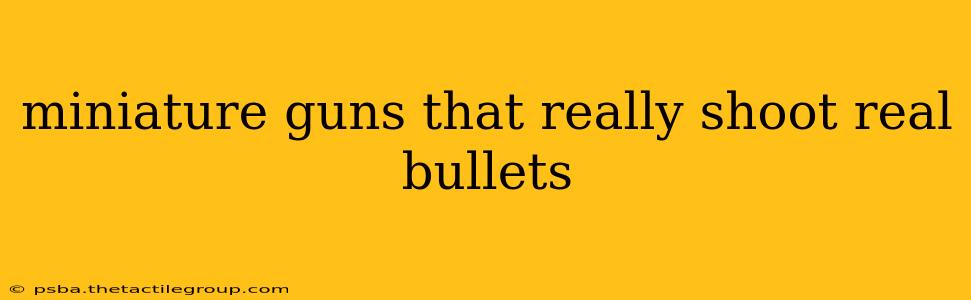 miniature guns that really shoot real bullets