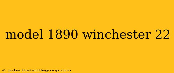 model 1890 winchester 22