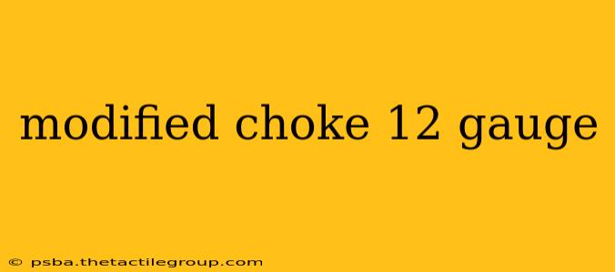 modified choke 12 gauge