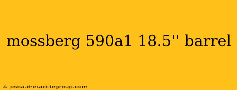 mossberg 590a1 18.5'' barrel