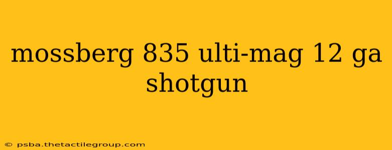 mossberg 835 ulti-mag 12 ga shotgun