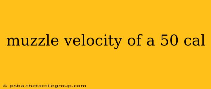 muzzle velocity of a 50 cal