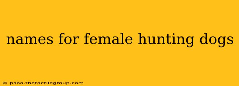 names for female hunting dogs