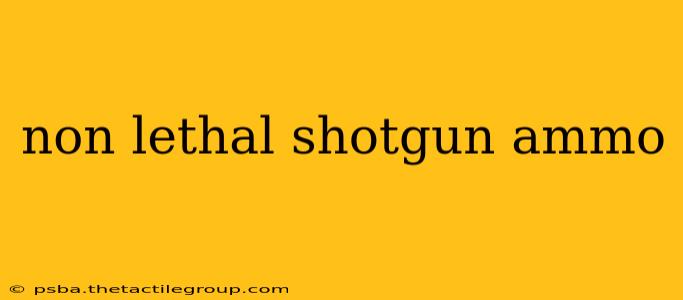 non lethal shotgun ammo