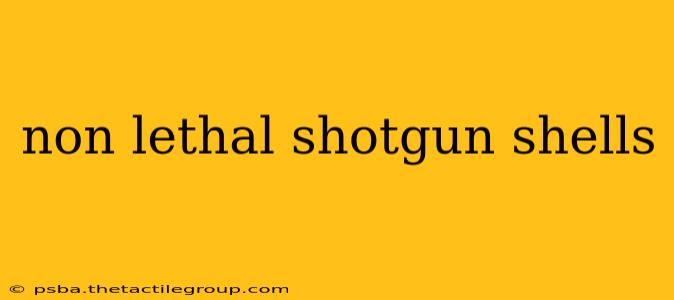 non lethal shotgun shells